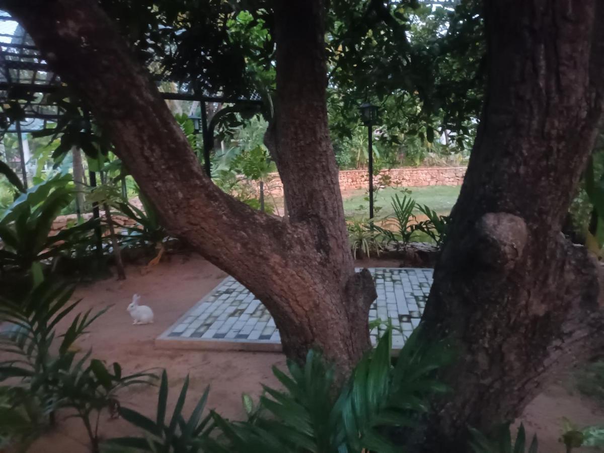 Lucky Beach Resort Trincomalee Eksteriør bilde