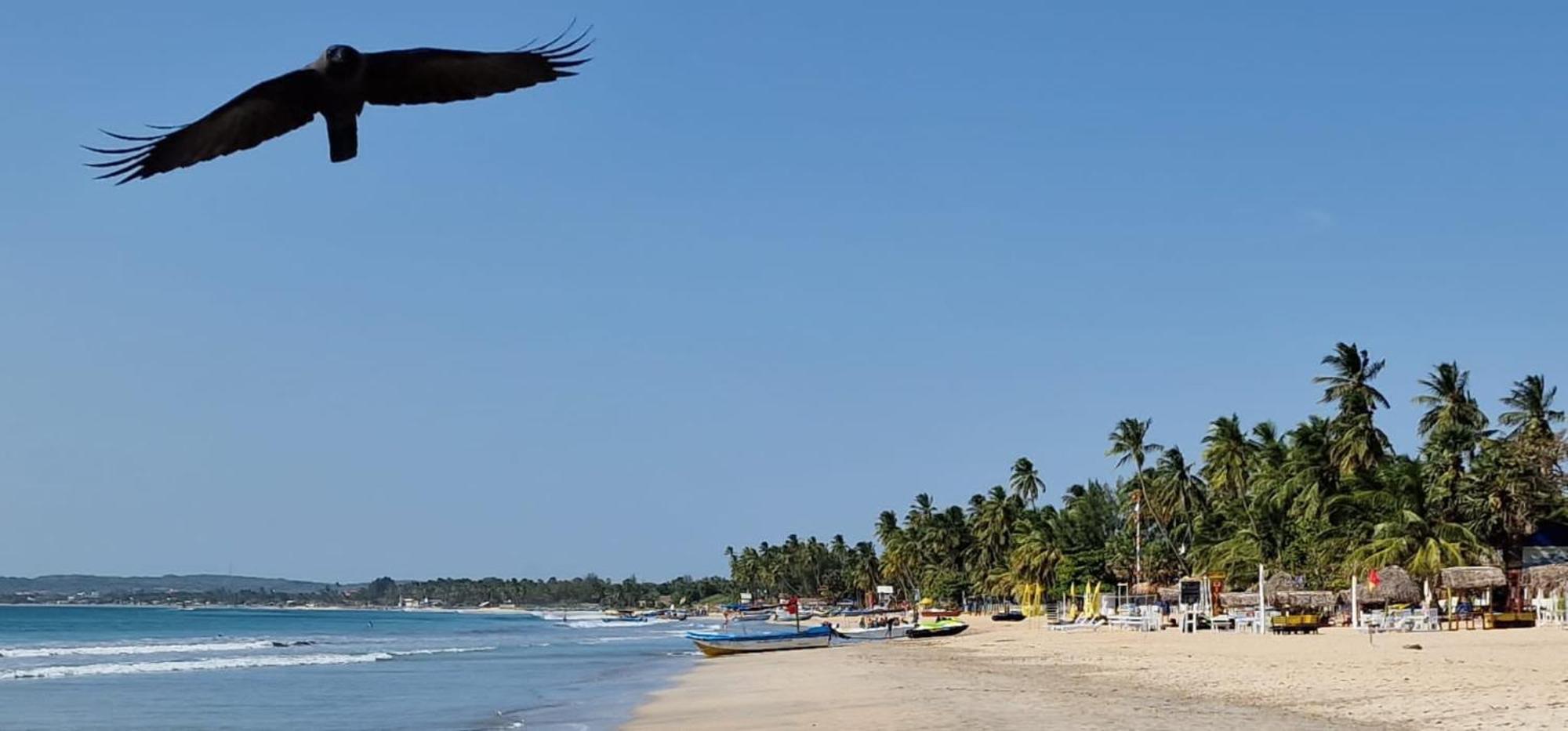 Lucky Beach Resort Trincomalee Eksteriør bilde